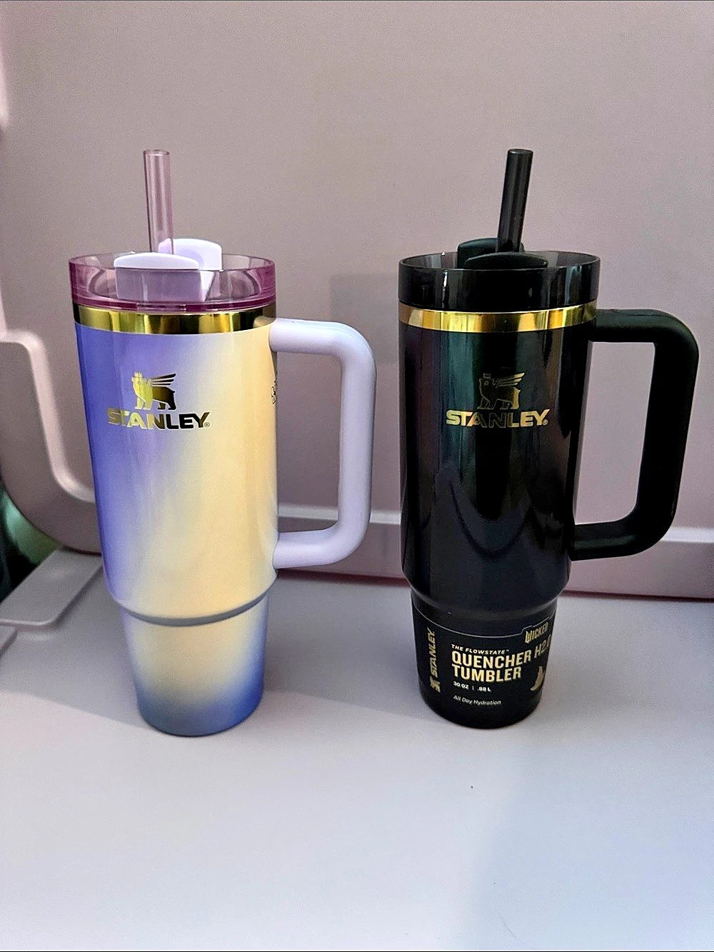 Wicked for Good Stanley Quencher H2.0 FlowState Tumbler 30 oz Tumblers